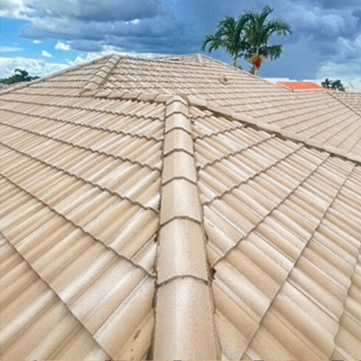 Discover the Transformative Benefits of Soft Washing Roofs