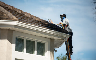 Professional Soft Washing Roof Services