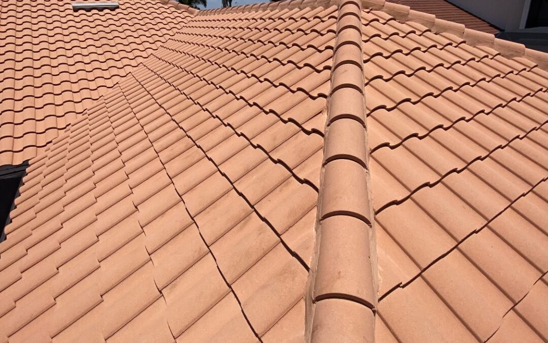 Image of a roof recently cleaned from the company Clean Roof, blue sky with clouds