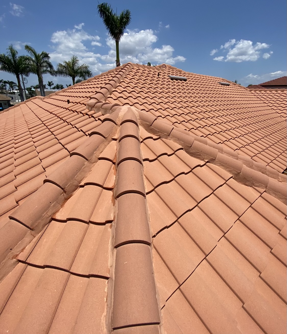 Clean Roof Tiles