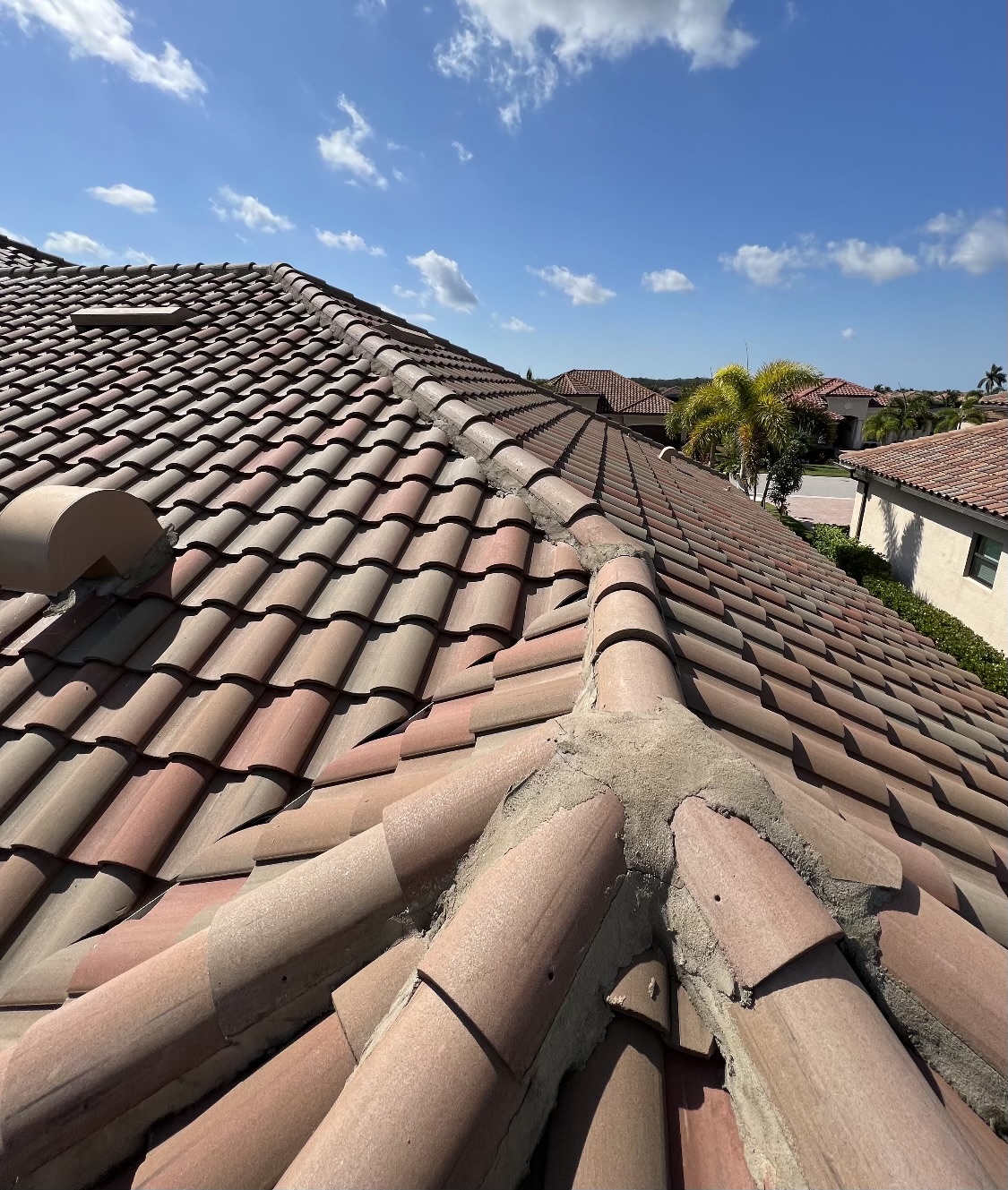 Roof Top