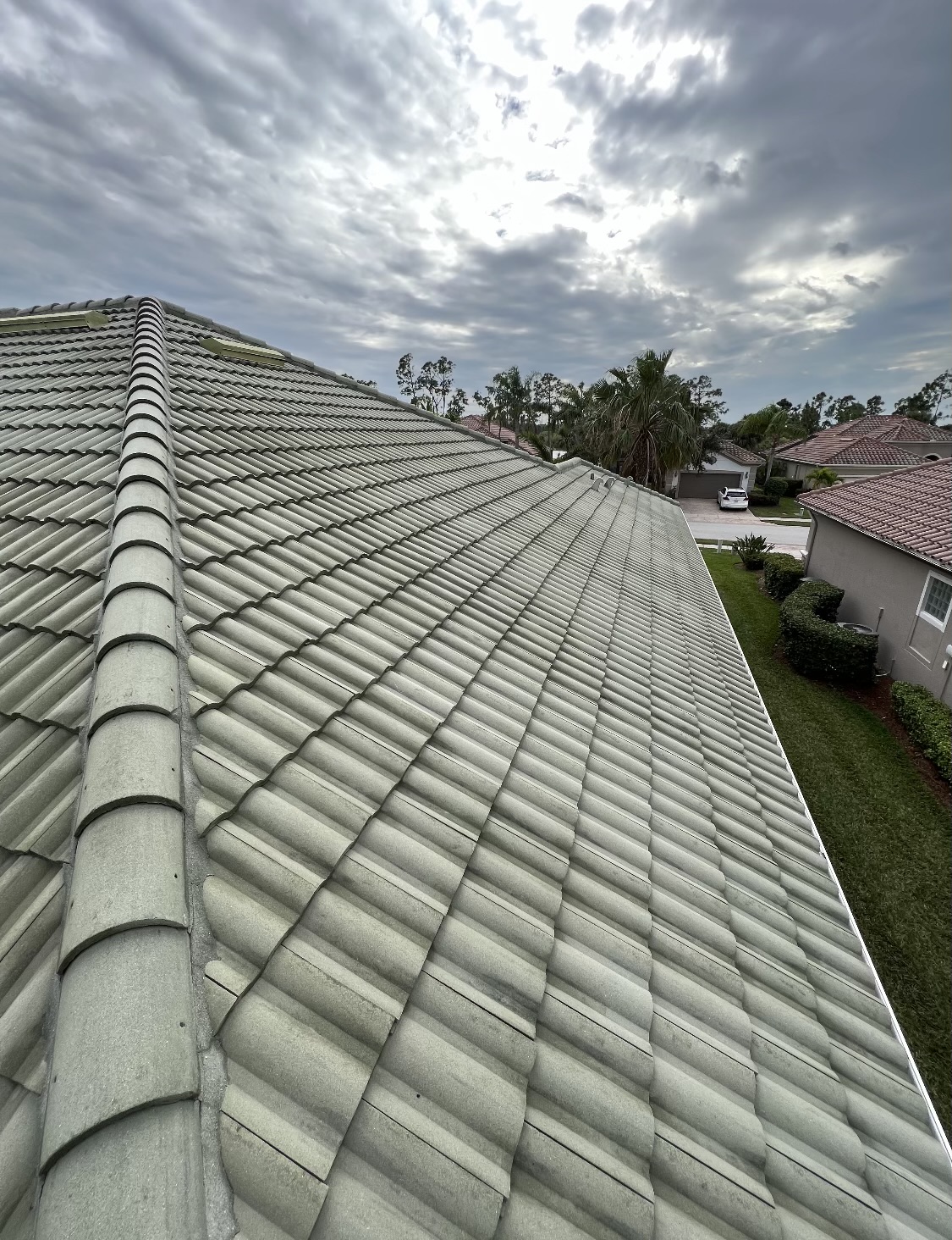 Cleaned Roof Tiles