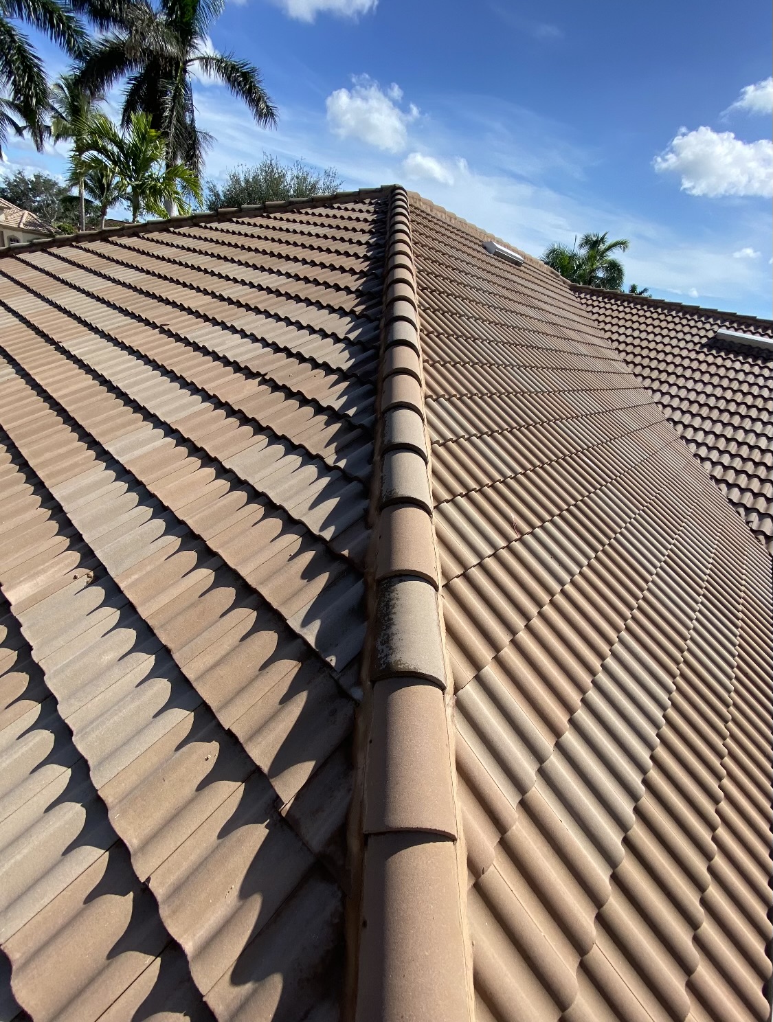 Cleaned Roof Tiles