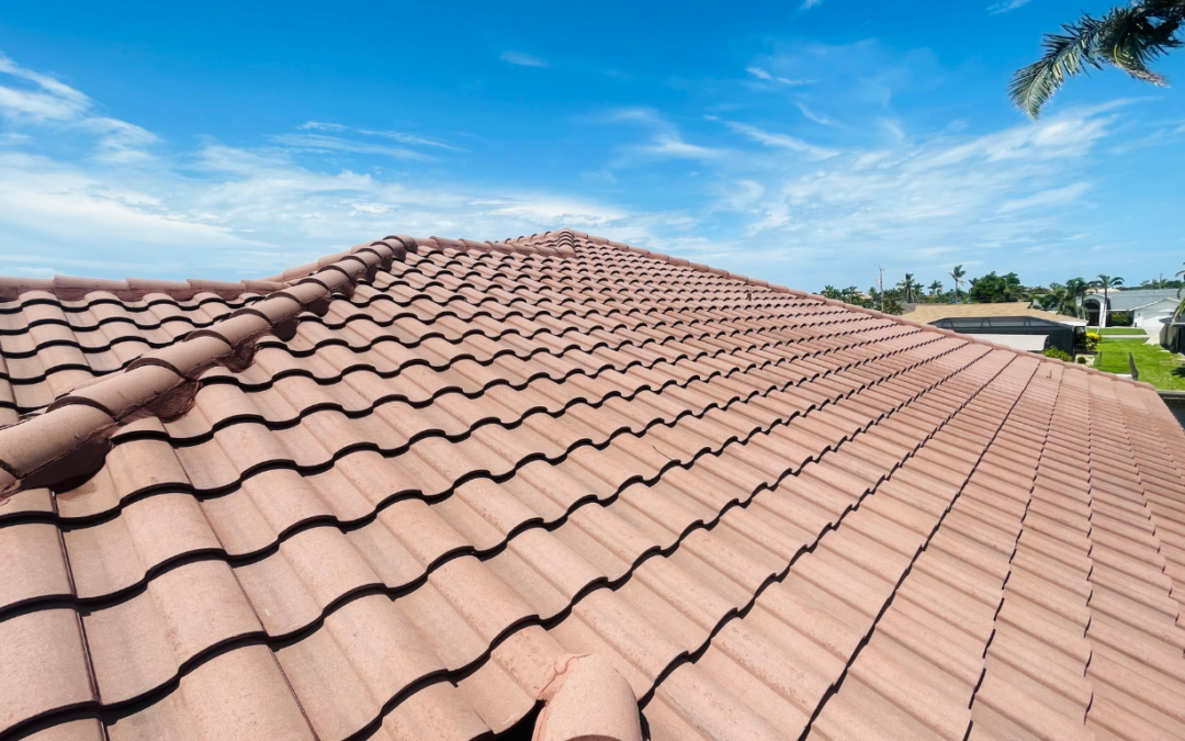 Mildew removal on a tile roof, tile roof cleaning, cleaning and sealing roofs, roof repairs