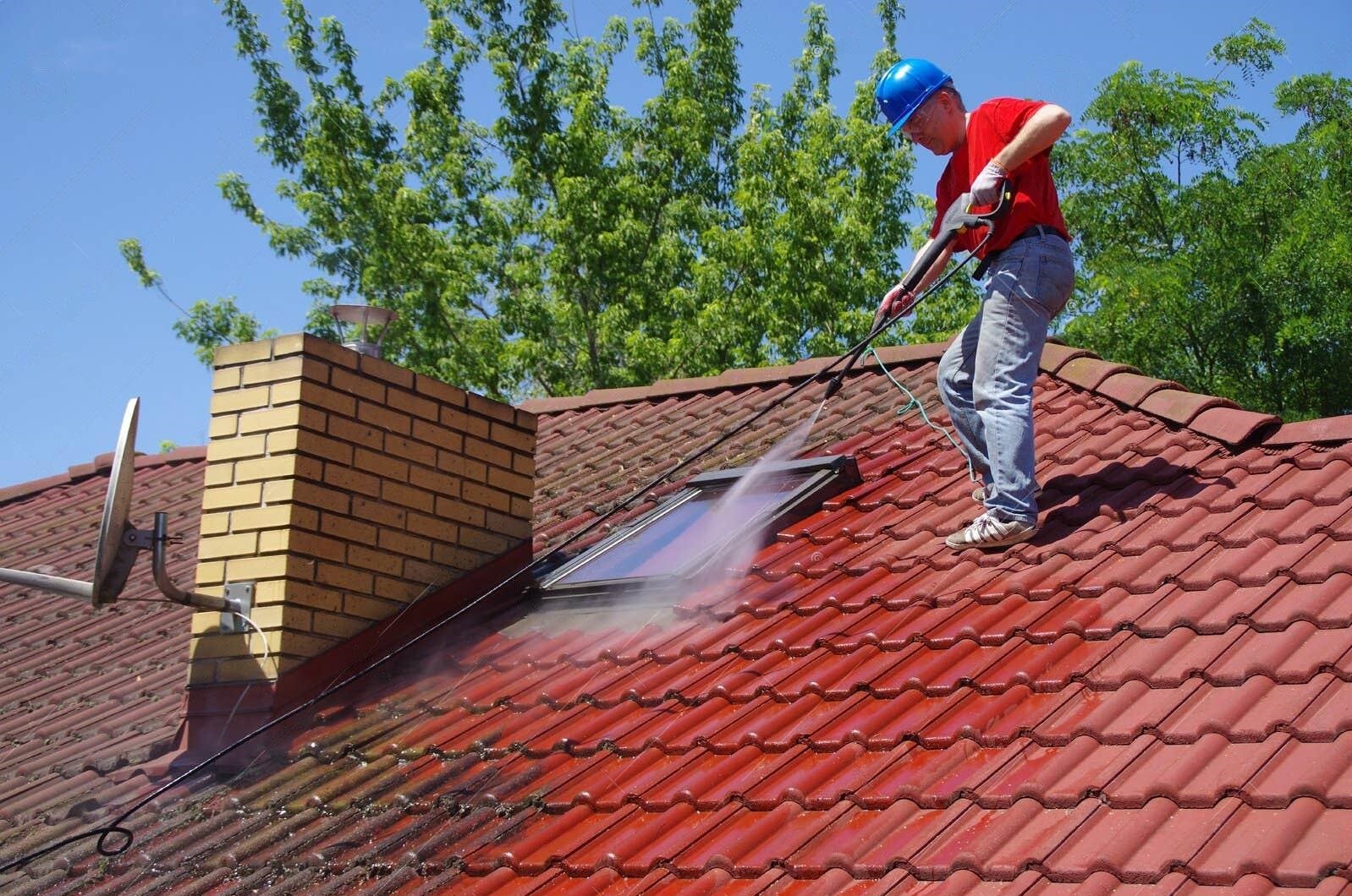 Roof Cleaner