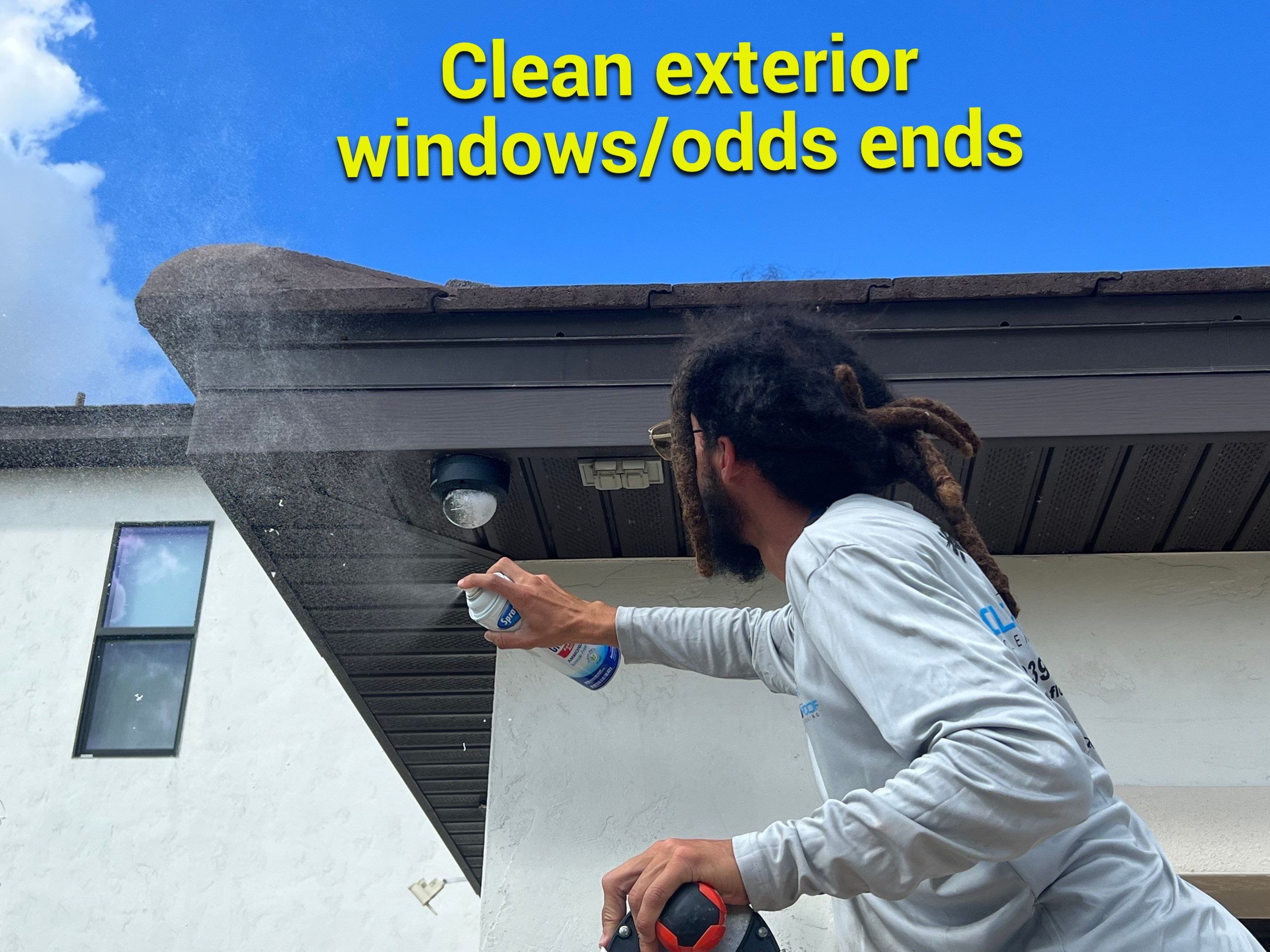 exterior cleaning