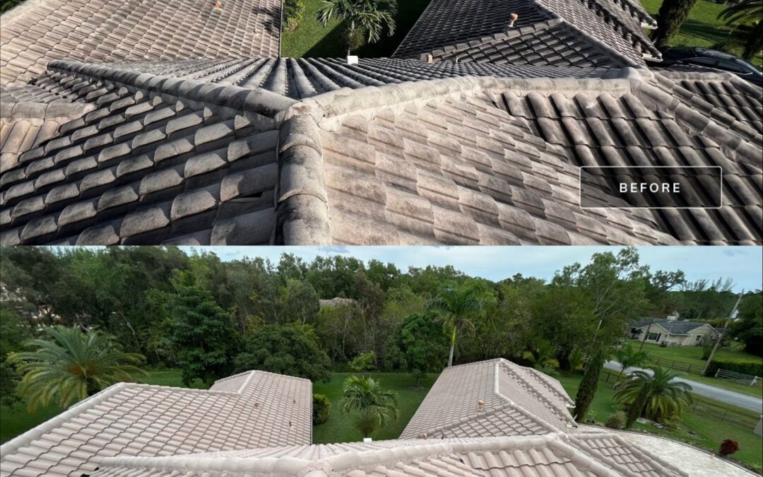 Roof Mildew Removal by Soft Washing