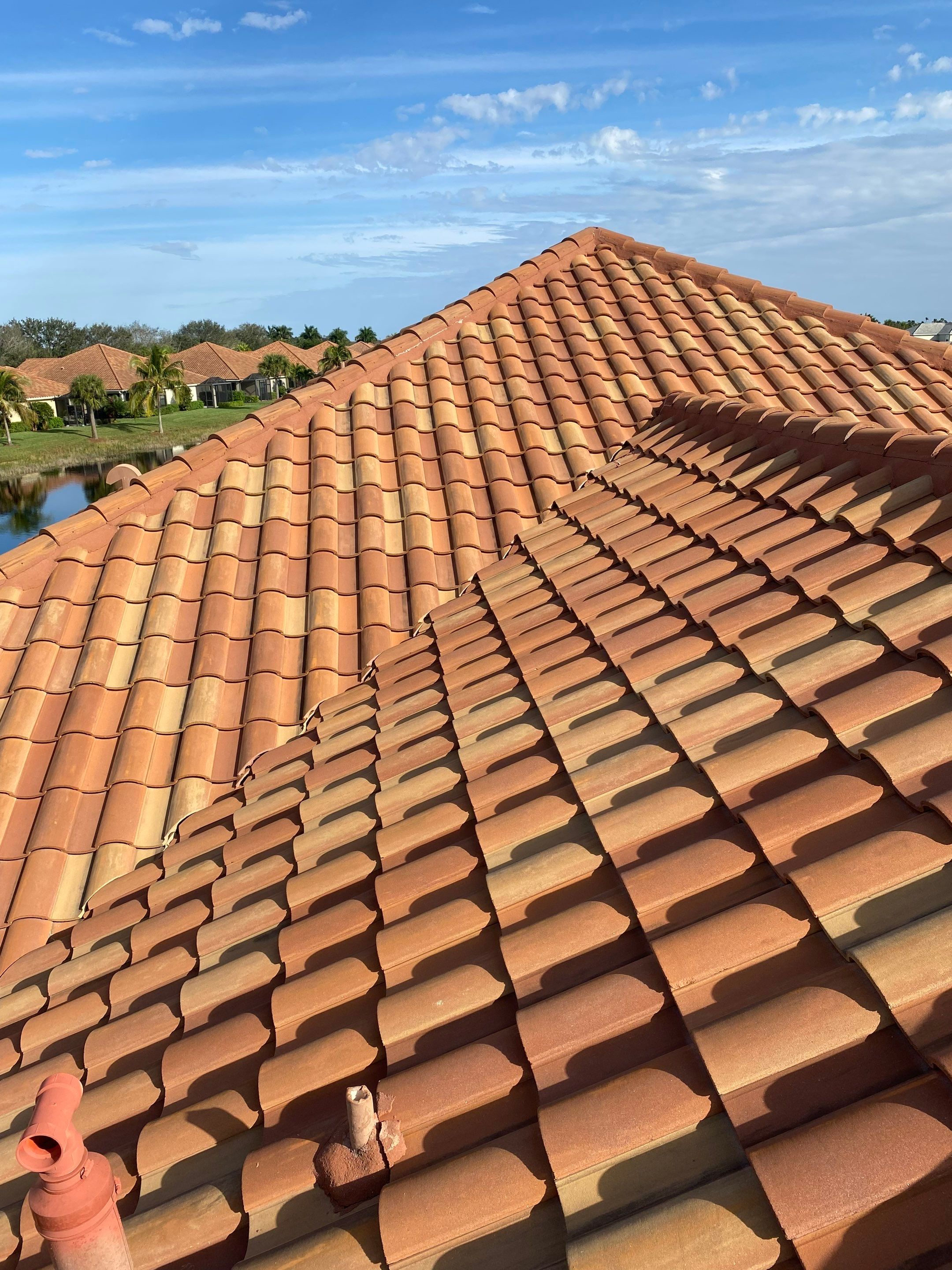 Professionally cleaned roof by way of soft washing.