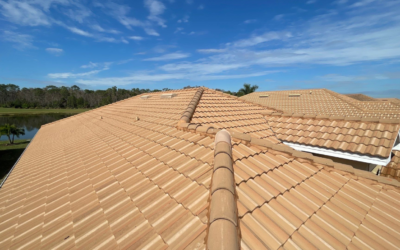 Why Choose Professional Soft Washing for Tile Roofs?