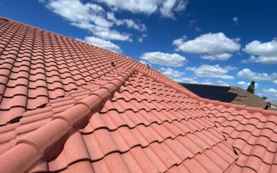 How Can You Double Your Roof’s Lifespan?