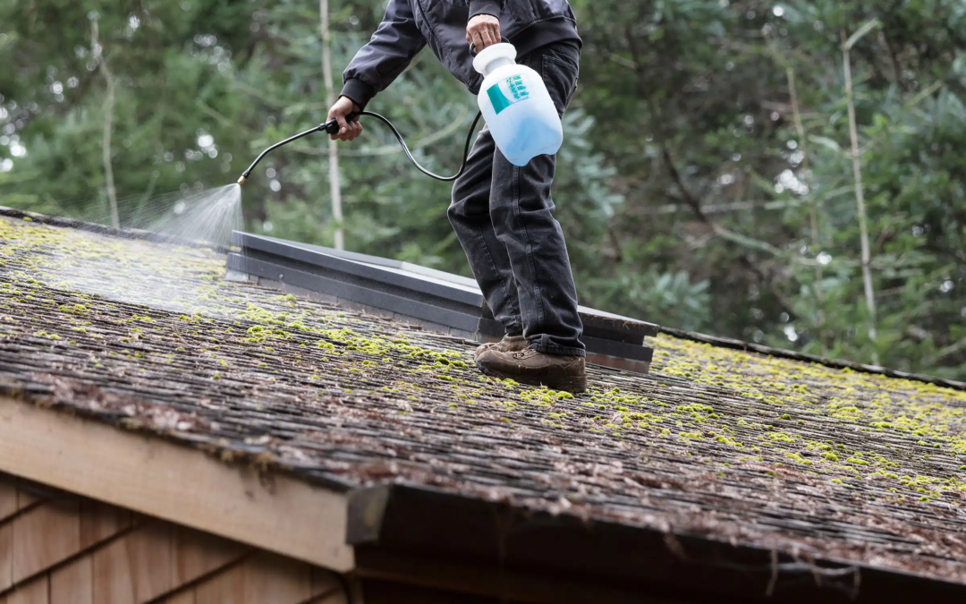 The Importance of Regular Roof Cleaning for Moss Control