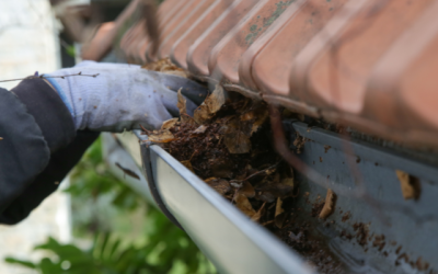 How Often Should You Clean Your Gutters in Cape Coral and Fort Myers? More Often Than You Think