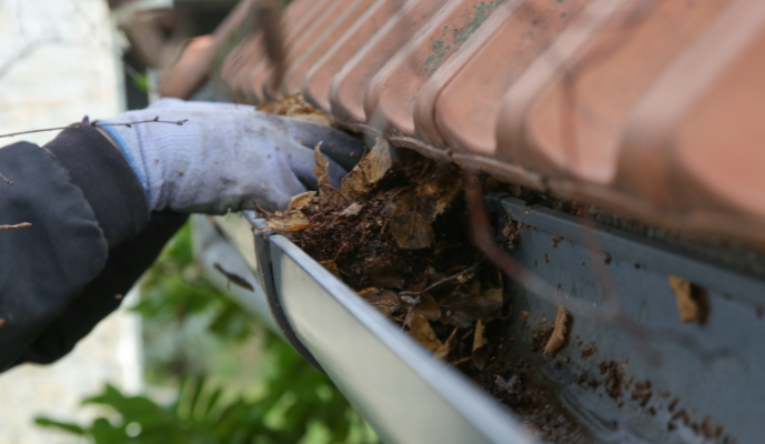 Why Gutter Cleaning Is Important—And How It Can Save Your Roof, Walls, and Wallet