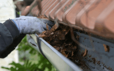 Why Gutter Cleaning Is Important—And How It Can Save Your Roof, Walls, and Wallet