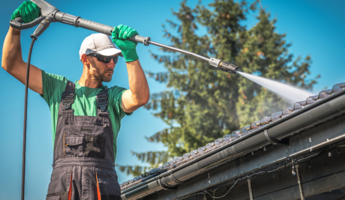 Roof Soft Washing