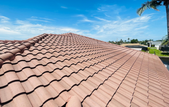 Roof Cleaning Matters img