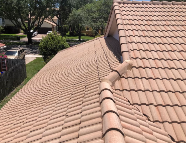 Roof Cleaning Matters in Boca Raton