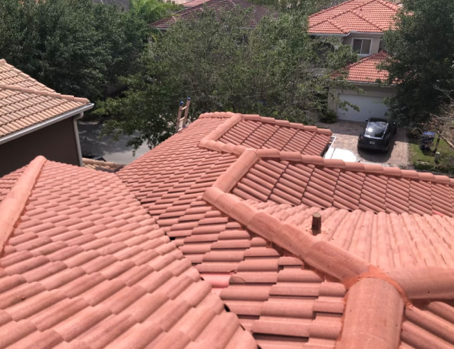 Roof Cleaning Matters in Boynton Beach