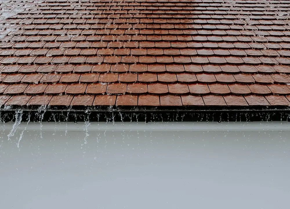 why roof clean about