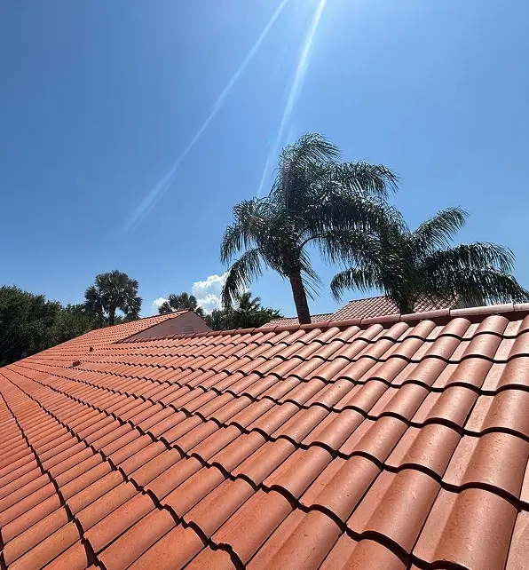 cement roof maintanance service