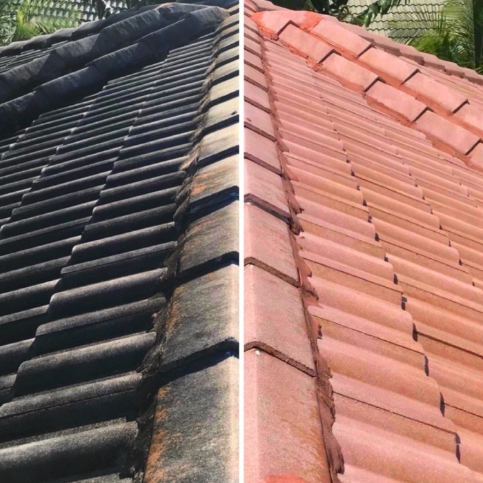 delray-beach Clean Roof Promise