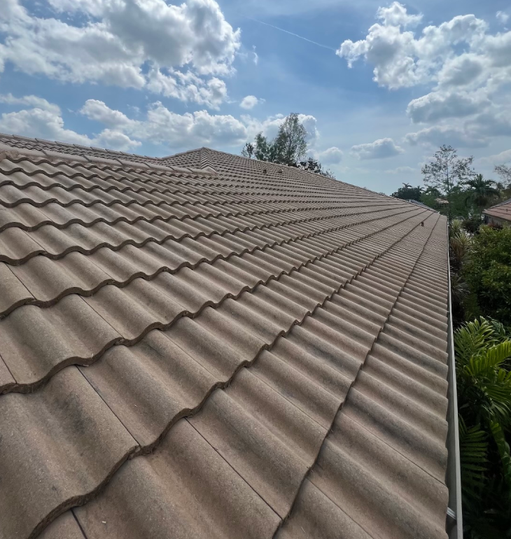 riviera beach Clean Roof Promise img