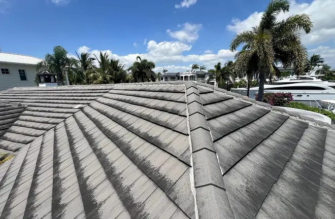 sealant for shingles (2)