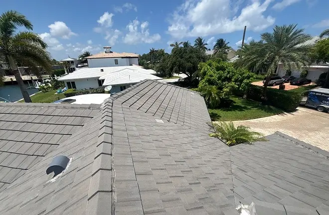 sealant for shingles (3