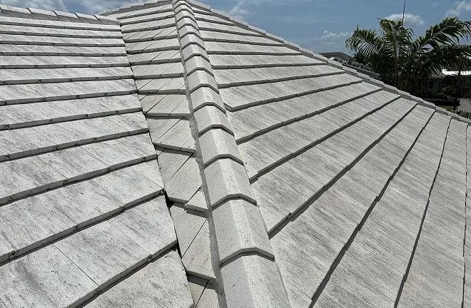 sealant for shingles (4)