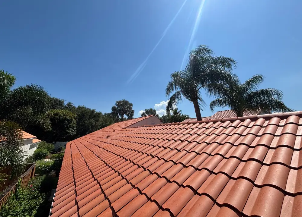 Roof_Cleaning_img